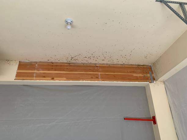 Best Flood Damage  in West Berlin, NJ