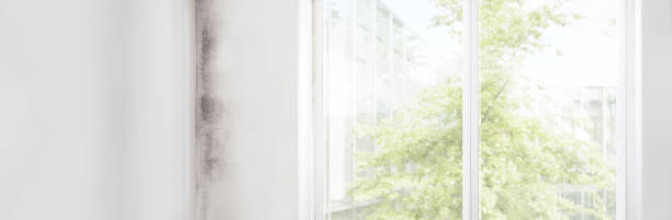 Best Mold Removal for HVAC Installations  in West Berlin, NJ