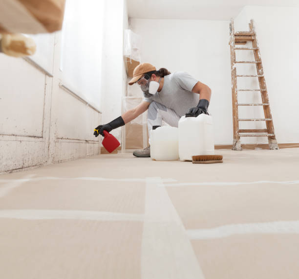 Best Basement Mold Removal  in West Berlin, NJ